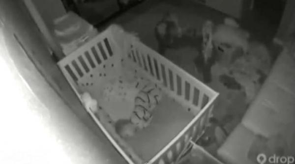 cutremurul devastator din california surprins de camera de supraveghere a unui bebelus reactia incredibila a micutului in timpul seismului video