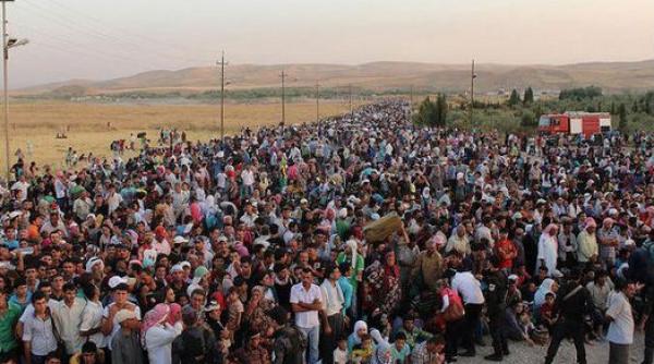 arabii reprezinta jumatate din numarul refugiatilor la nivel global onu