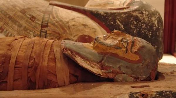 o mumie veche de 2 000 de ani face senzatie la sibiu