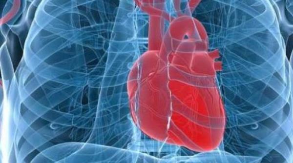 retetele europenilor pentru bolile cardiovasculare peste 120 miliarde de euro