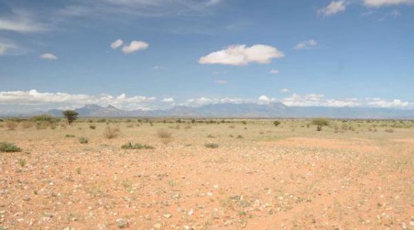 dezastru seceta din america centrala afecteaza aproximativ 3 milioane de persoane