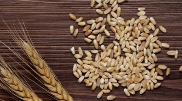 7 kilograme in 7 zile cum folose ti orzul in cura de slabire