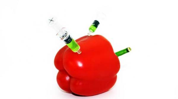 liber la organisme modificate genetic din 2015