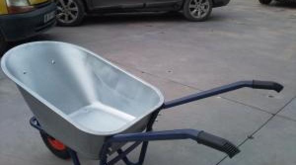 boto ani un ofer de 77 ani a accidentat mortal un tanar care impingea o roaba pe marginea oselei