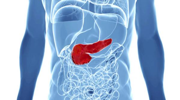 pancreasul tratat in centre de excelenta