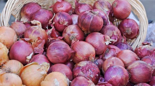 romania a cerut ce o piata unica