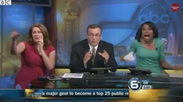 studio tv din sua luat cu asalt de un liliac reactia prezentatorilor unei emisiuni matinale este fabuloasa video