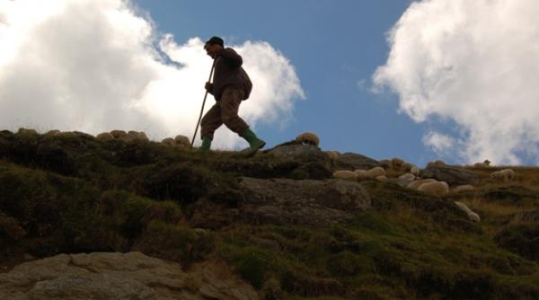 drumuri ale vesniciei cararile muntilor e toamna si au inceput sa se intoarca ciobanii cu oile de pe munte
