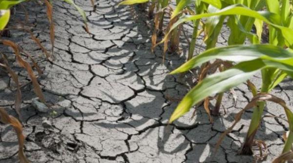 studiu alarmant scoarta planetei se ridica din cauza secetei