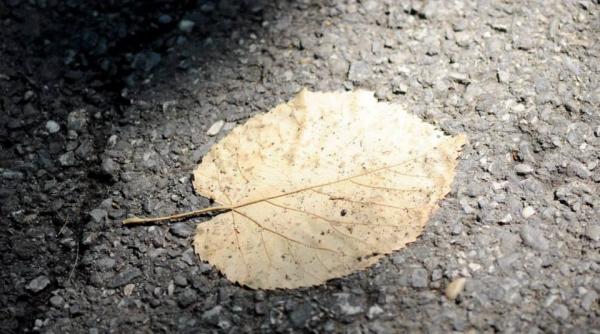 temperaturi de pana la 24 de grade celsius in urmatoarele doua saptamani prognoza meteo pana in 28 septembrie