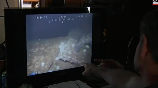 descoperire extraordinara in golful san francisco ce au gasit expertii maritimi americani la intrarea in golden gate video