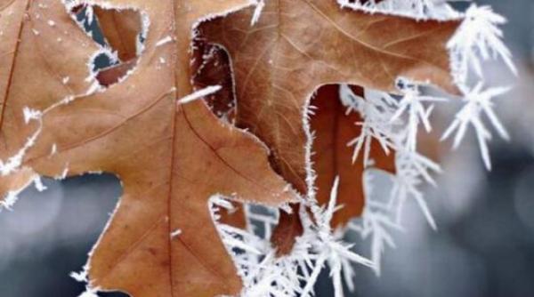 minus 3 grade celsius inregistrate la miercurea ciuc este cea mai scazuta temperatura din aceasta toamna
