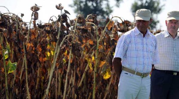 banii de la nana se pierd in paradisuri fiscale