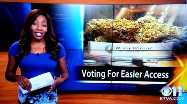 video prezentatoare de stiri posesoarea unei plantatii de marijuana gest uluitor facut in direct