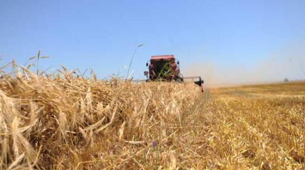 investitorii italieni au cumparat un milion de hectare de teren agricol in romania