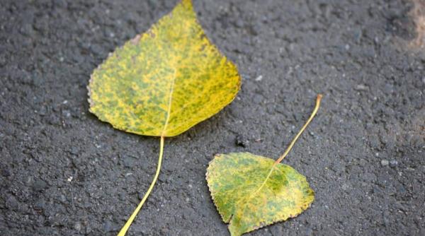temperaturi de pana la 23 de grade celsius in urmatoarele doua saptamani prognoza meteo pana in 12 octombrie