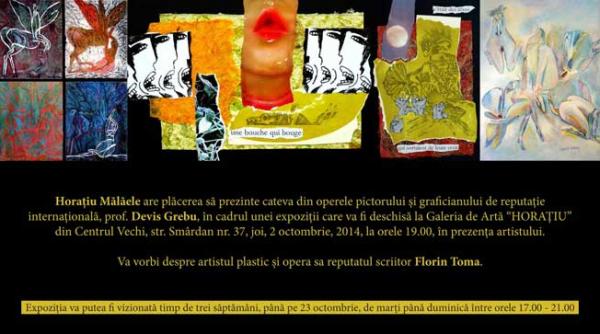 devis grebu expune la galeria horatiu malaele