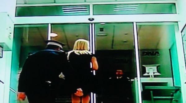 elena udrea dna audiere