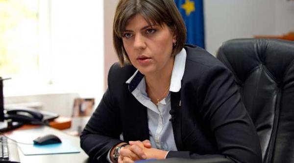 martor infiltrat de dna angela nicolae aduce acuzatii grave la audierile de la instanta suprema