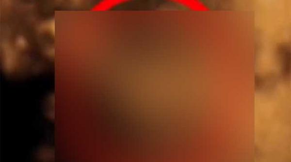 video aparitie fantomatica in ecografie 4d a unui fat inger pazitor sau