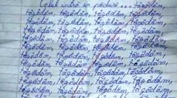 calul intra in padure compunere de o pagina a unui elev de clasa a vii a