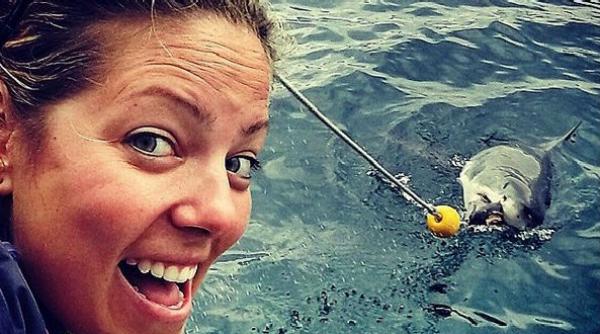 fotografii rechin alb