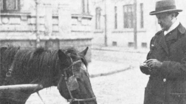 farsa marca brunea fox printul reportajului parlamentarii au purces la acordarea unei pensii familiei eroului necunoscut