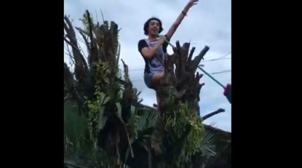 video un tanar il imita pe bruno mars din varful copacului ce i a intrerupt prestatia electrizanta