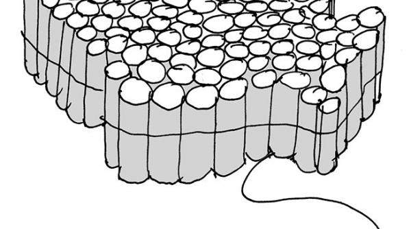 caricatura zilei 16 octombrie 2014