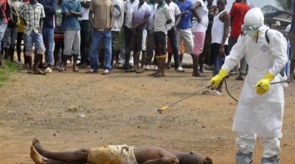 ebola saptamanal 10 000 de noi cazuri