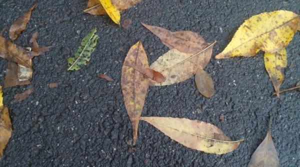 vremea se raceste semnificativ de miercuri temperaturile scad cu pana la 10 grade in toata tara