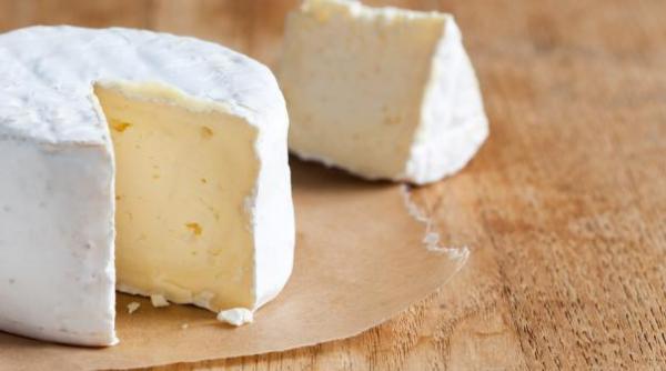 alimentele viitorului burger vegetal faina de alge sau branza la gratar