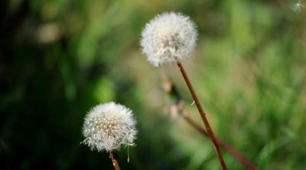 temperaturile cresc dupa 30 octombrie prognoza meteo pana in 9 noiembrie