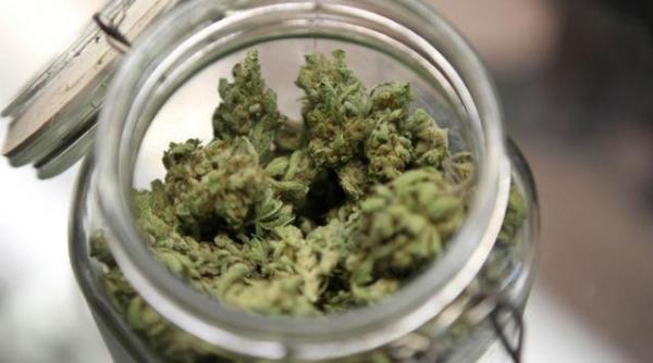 persoanele care consuma marijuana au anse mai ridicate de a supravie ui in cazul unor traume craniene grave