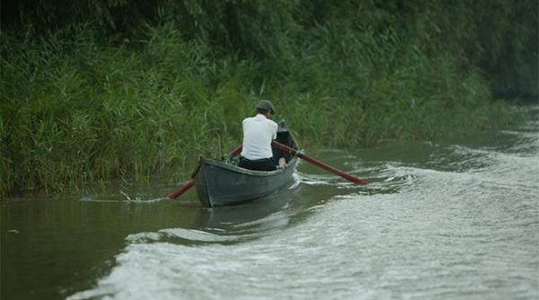 guvernul vrea sa infiinteze comisariatul deltei