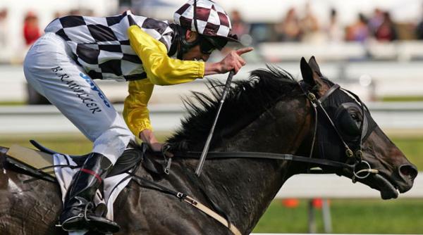 principalul favorit al cupei melbourne a murit imediat dupa trecerea liniei de sosire