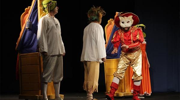 tandarica e din nou in festival