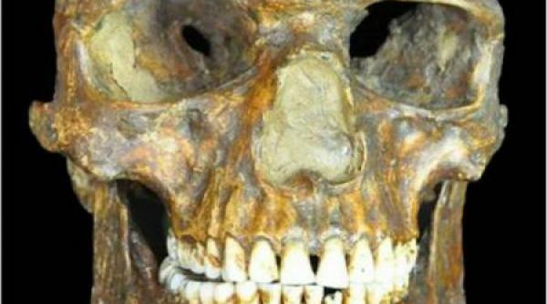 dovezile adn demonstreaza ca primii oameni din europa au supravie uit ultimei ere glaciare