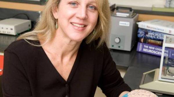 lise eliot nu este loc pentru un baiat sensibil intr o societate majoritar macho