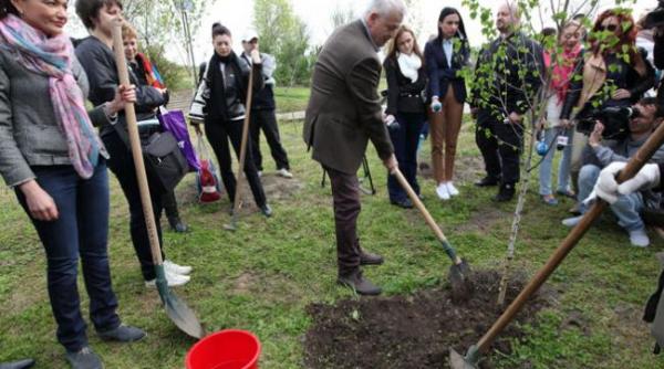 aproape 4 000 de arbori i arbu ti vor fi planta i in campania capitala cre te verde