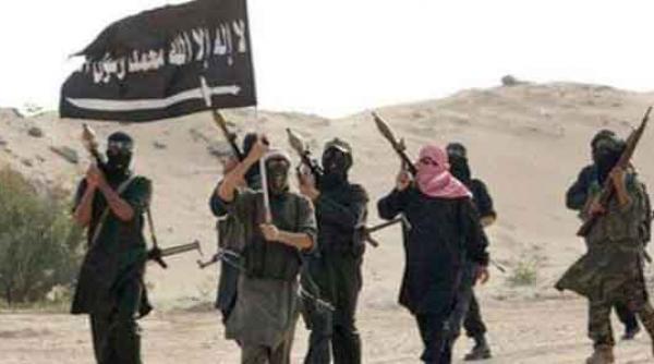 jihadistii grupului egiptean ansar beit al maqdess au jurat credinta statului islamic