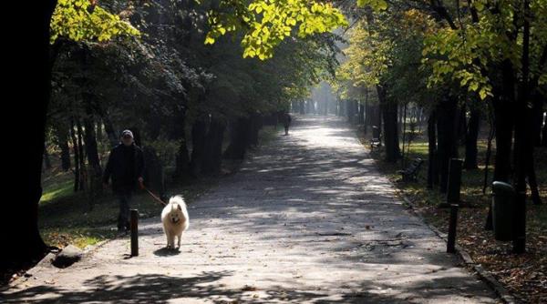 vreme calda in urmatoarele doua saptamani vezi prognoza meteo pana in 23 noiembrie