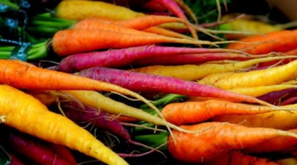 noile tipuri de alimente modificate genetic rosiile cu gust de lamaie si pestii fluorescenti