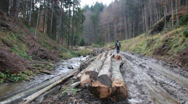 dezastre naturale amenzi simbolice