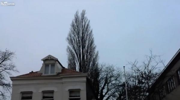 moment magic surprins de camera video zeci de mii de oameni au dat click sa vada o scena absolut fabuloasa video