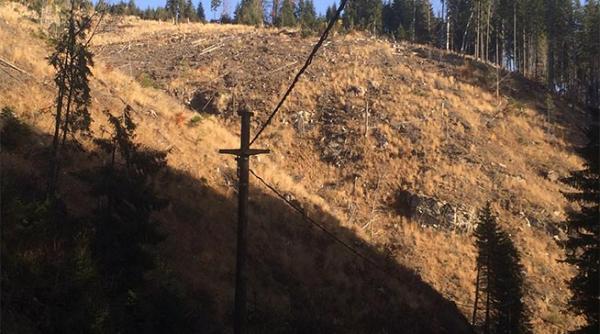 defrisarile masive din ograda politiei alba vaile sebesului si mirajului paradisul drujbasilor