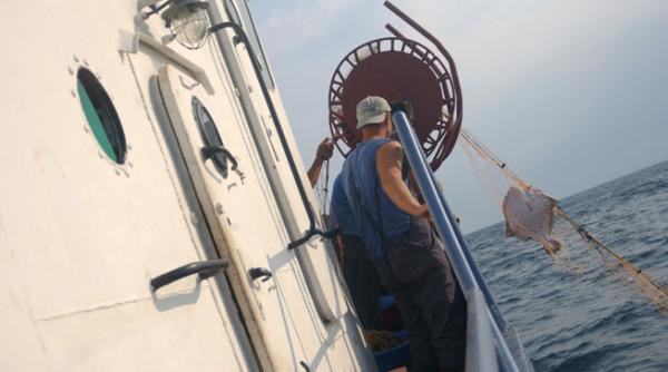 un calcan i o turbotiera