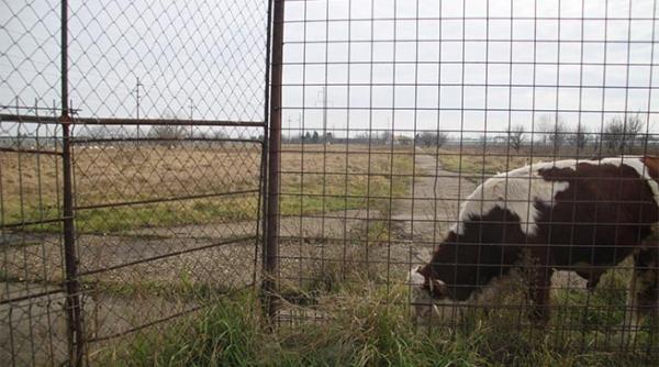 retrocedarile bomba cu efect intarziat