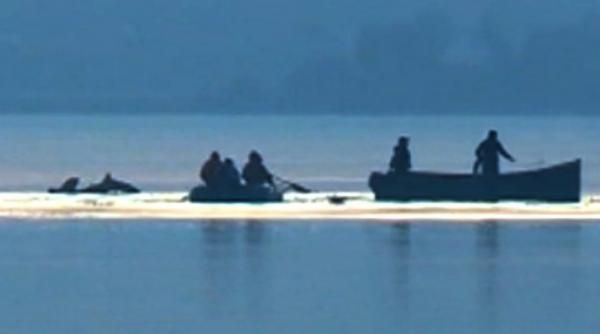 a treia persoana recuperata de scafandri din epava elicopterului prabu it in lacul siutghiol