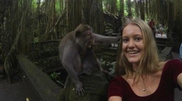 un selfie cu o maimutica se termina foarte prost foto